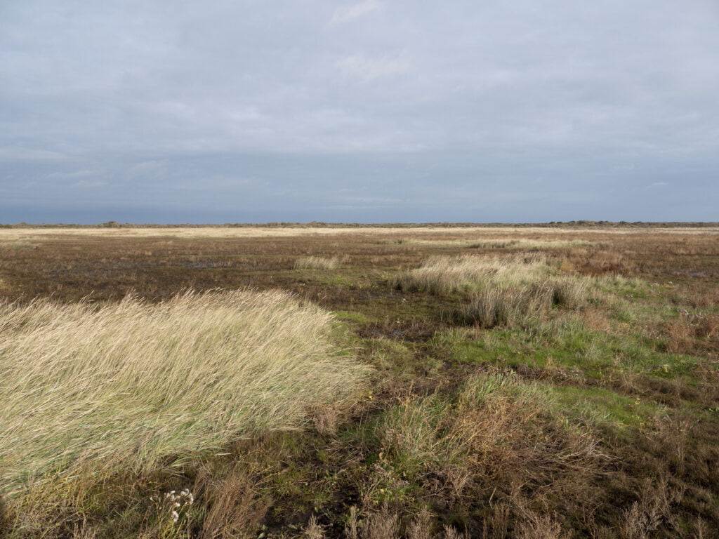 Schiermonnikoog bij Kobbeduinen