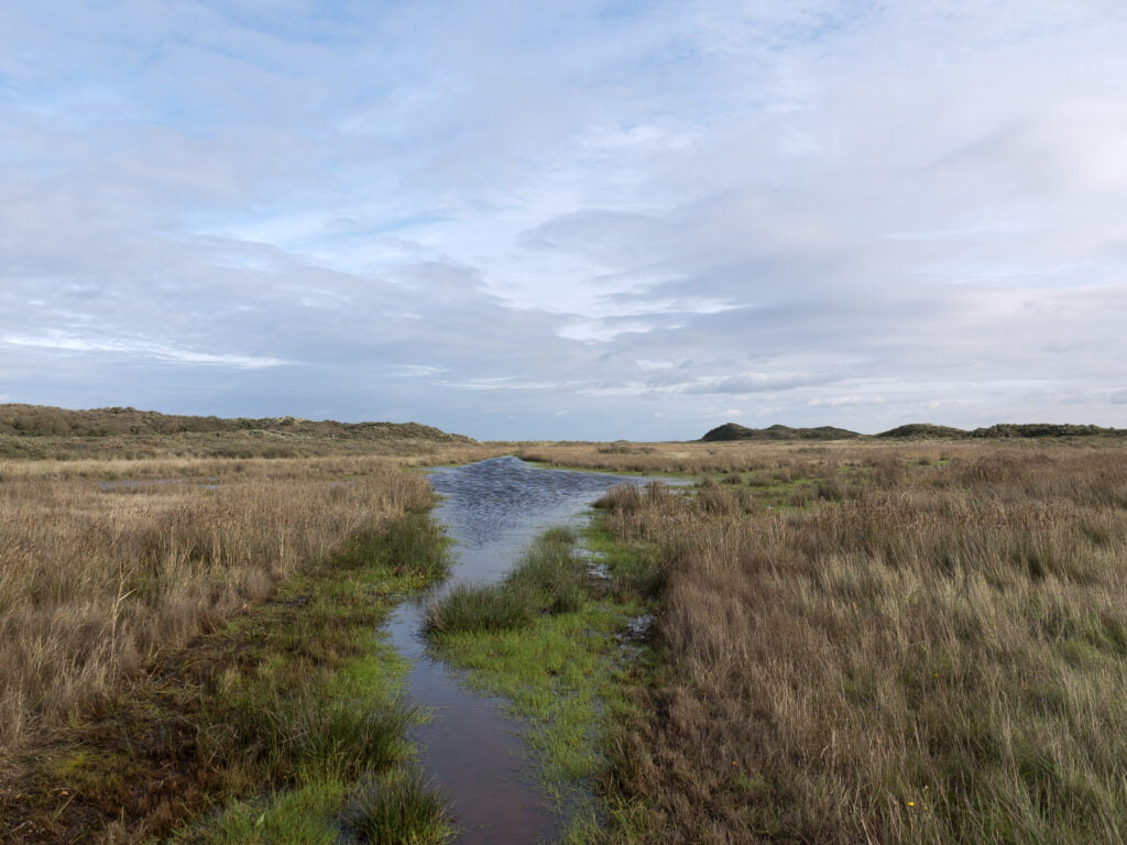 Schiermonnikoog Kwelderpad