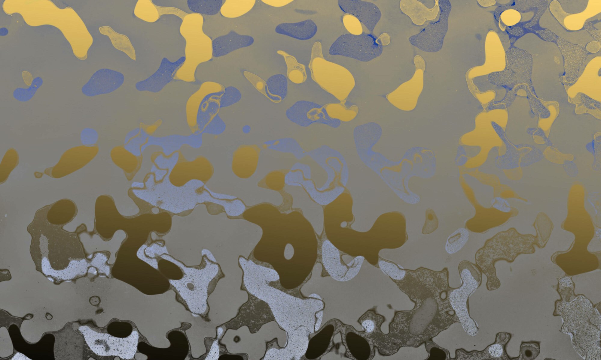 tekeningen en collages, digitale grafiek © Birgit Speulman