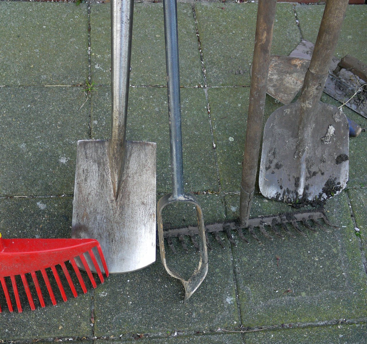 cultiver notre jardin