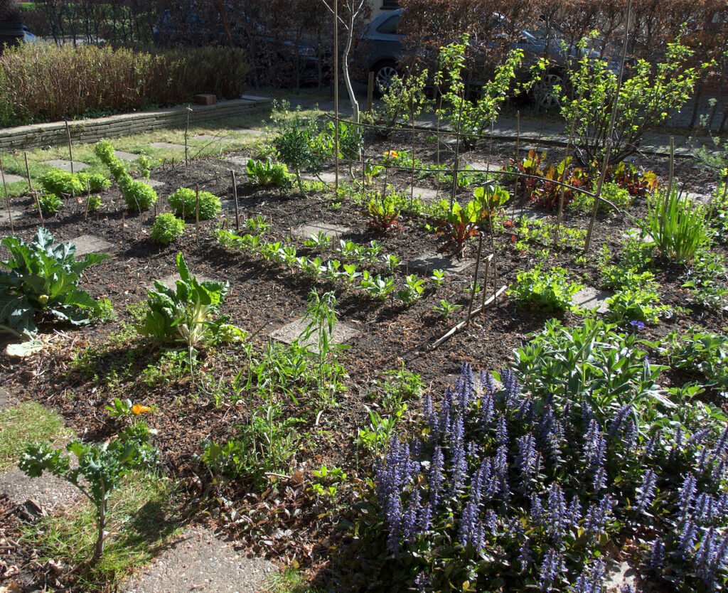 cultiver notre jardin